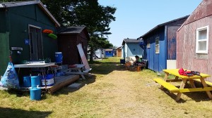Colourful cabins on Chapel Island.